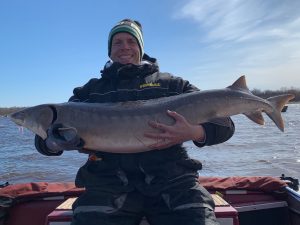 Nick Simonson with the log-turned-fish, a 58-inch lake sturgeon coming after a long battle and a complicated landing on the Rainy River in northern Minn.    
