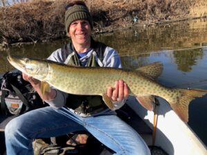 The author landed this muskie while fishing walleyes with light tackle on the Sheyenne River. Simonson Photo
