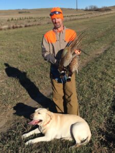 The author’s friend found success on a small stretch of habitat, doubling up on this pair of rooster pheasants in the wind. Simonson Photo.