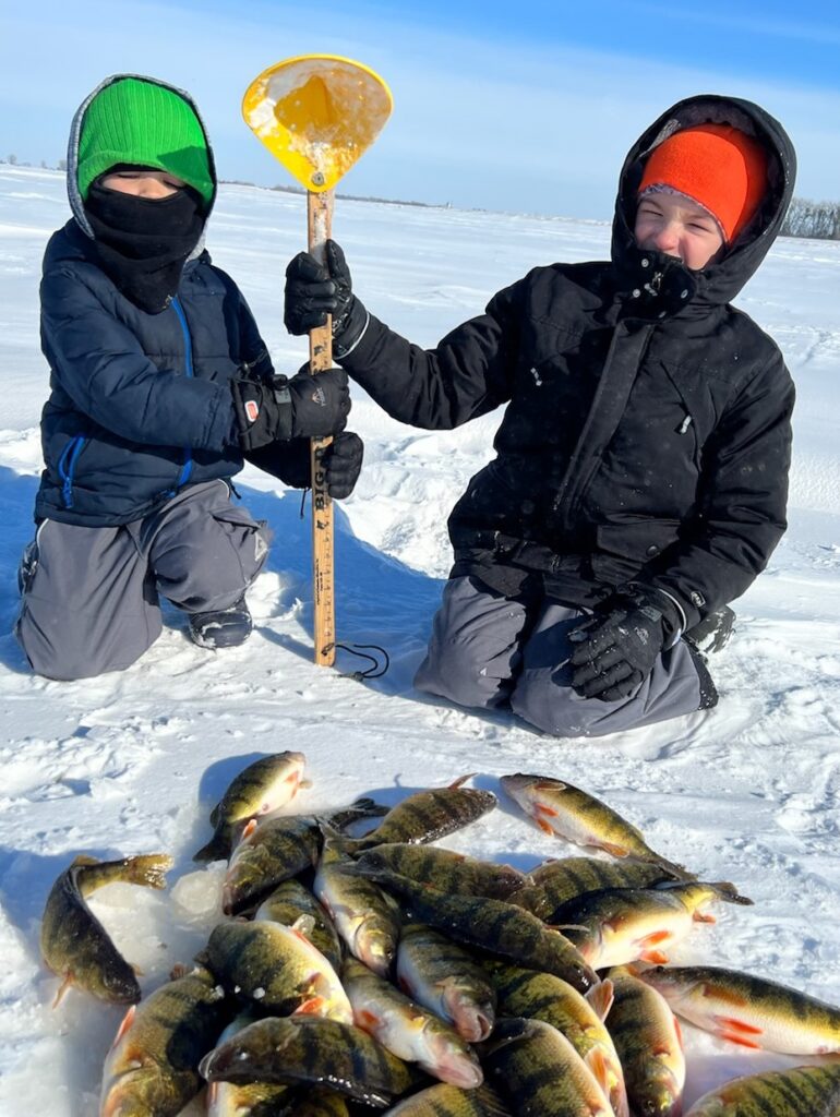 Piles of Smiles.  The author’s sons Jackson(L) and AJ with a pile of perch from a recent ice outing, made easier and certainly more exciting with the help of the author’s regular fishing buddies. Simonson Photo. 