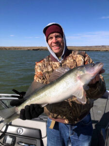 Hold On. Spring conditions can bring their own challenges and some great rewards like this nice walleye the author caught and released from the shrunken flows of upper Lake Oahe near Bismarck, N.D. Simonson Photo.