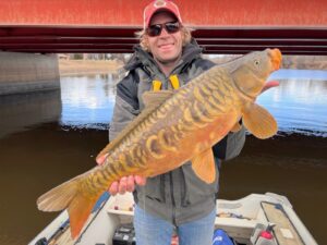 What Could It Be? The author holds up a mirror carp, the end result of a fun fight and multispecies mystery on the Sheyenne River in Valley City, N.D. Simonson Photo.